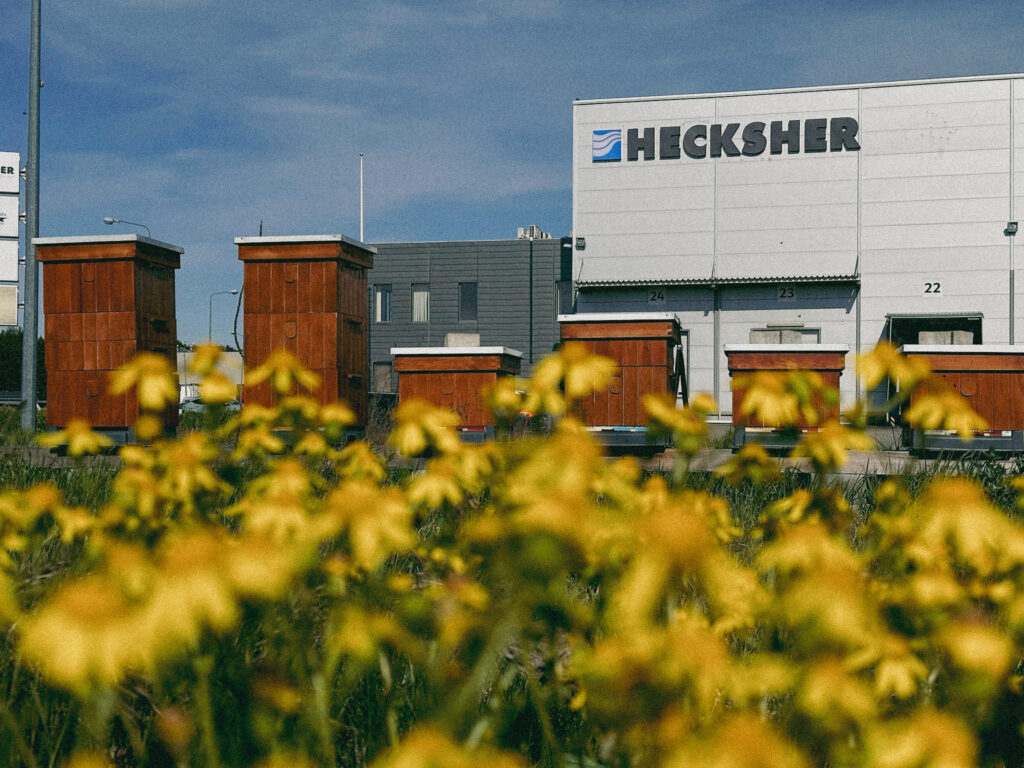 Hecksher Poland turns warehouse land into a home for bees – and a haven for biodiversity